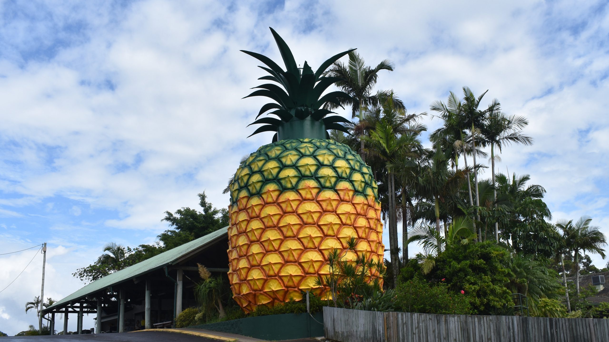 5ddb1657cd7d37369a245f96_BigPineapple