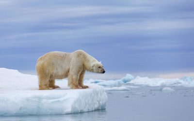 Earth may temporarily pass dangerous 1.5℃ warming limit by 2024